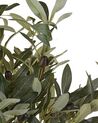 Artificial Potted Plant 77 cm OLIVE TREE_812302