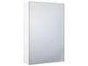 Szafka łazienkowa wisząca z lustrem 40 x 60 cm biała PRIMAVERA_811293