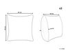 Set of 2 Velvet Cushions Bird Motif 45 x 45 cm Grey RUELLIA_892861