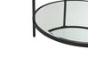 Glass Top Coffee Table with Mirrored Shelf Black BIRNEY_829606