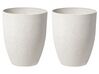 Conjunto de 2 macetas de mezcla de piedra blanco crema ⌀ 35 cm CROTON_841617
