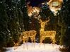 Outdoor LED Decoration Reindeer 128 cm Black MAHLATTI_829635