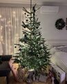 Pre-Lit Snowy Christmas Wreath ⌀ 60 cm Green PAIMIO_917045