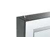 Bathroom Wall Mounted Mirror Cabinet with LED 40 x 60 cm Black MALASPINA_905849