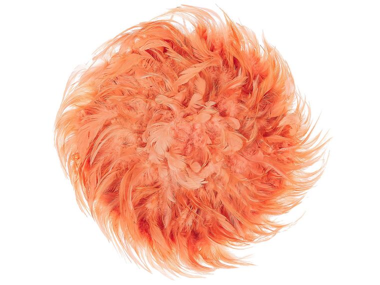 Feather Wall Decor ø 40 cm Coral Red JUJU_723376
