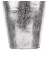 Dekorativ Vase Sølv 48 cm LORCA_722782