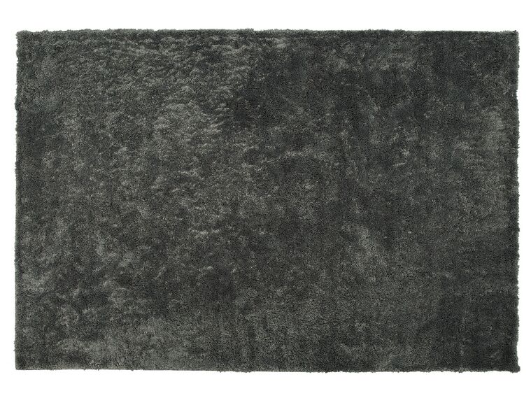 Vloerkleed polyester donkergrijs 200 x 300 cm EVREN_758625