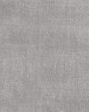 Alfombra de viscosa gris claro 200 x 300 cm GESI II_793526