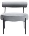 Velvet Accent Chair Grey ALPHA_860905
