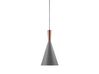 Metal Pendant Lamp Grey TAGUS_704237