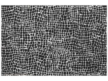 Tappeto bianco e nero 200 x 300 cm PUNGE