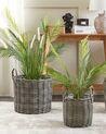 Set of 3 PE Rattan Plant Pot Baskets Taupe NIKITI_826531
