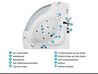 Whirlpool Badewanne weiss Eckmodell mit LED 187 x 136 cm MANGLE_807031
