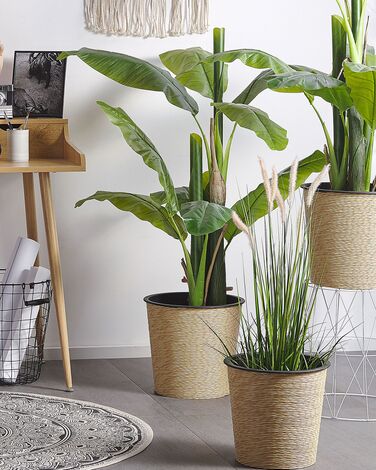 Artificial Potted Plant 87 cm REED PLANT