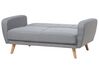 2 Seater Fabric Sofa Bed Grey FLORLI_704132