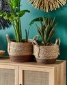 Set of 2 Seagrass Plant Pot Baskets Natural PALADJU_828031