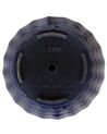 Bloempot marineblauw ⌀ 42 cm FERIZA_740517