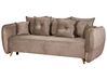 Velvet Sofa Bed with Storage Brown VALLANES_904251