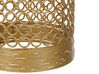 Wire Frame Mango Wood Side Table Light and Gold WAIHI_854375
