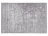 Viskózový koberec 200 x 300 cm svetlosivý GESI II_793517
