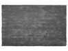 Tmavě šedý koberec 200x300 cm DEMRE_683616