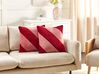 Set of 2 Velvet Cushions 45 x 45 cm Red and Pink BORONIA_914082