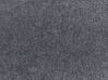 Cama con somier gris oscuro/madera clara/negro 160 x 200 cm IZERNORE_863267