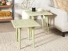 Zöld és arany mangófa kisasztal kétdarabos szettben BELIDHA_857049