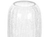 Bloemenvaas glas transparant 28 cm KYRAKALI_838033