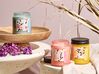 Set di 3 candele profumate cera di soia rosa/loto/melissa FRUITY BLOOM_874329
