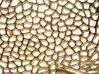 Conjunto de 3 bandejas em metal dourado PEMALI_848971