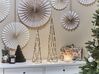 Sada 2 dekorativních vánočních stromečků s LED světly černé NEIDEN_812528
