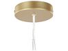 15 Light Metal Pendant Lamp Gold BALAGAS_818276