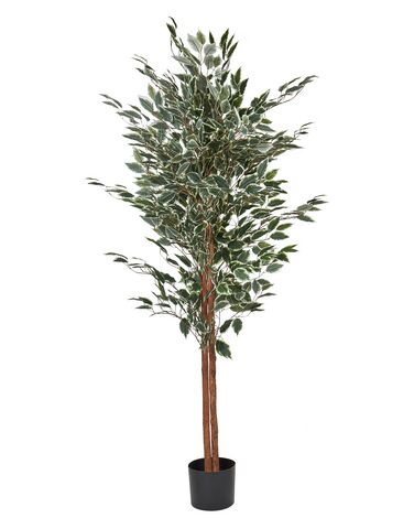 Planta artificial em vaso 167 cm FICUS TREE