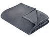 Blanket 150 x 200 cm Grey BAYBURT_851117