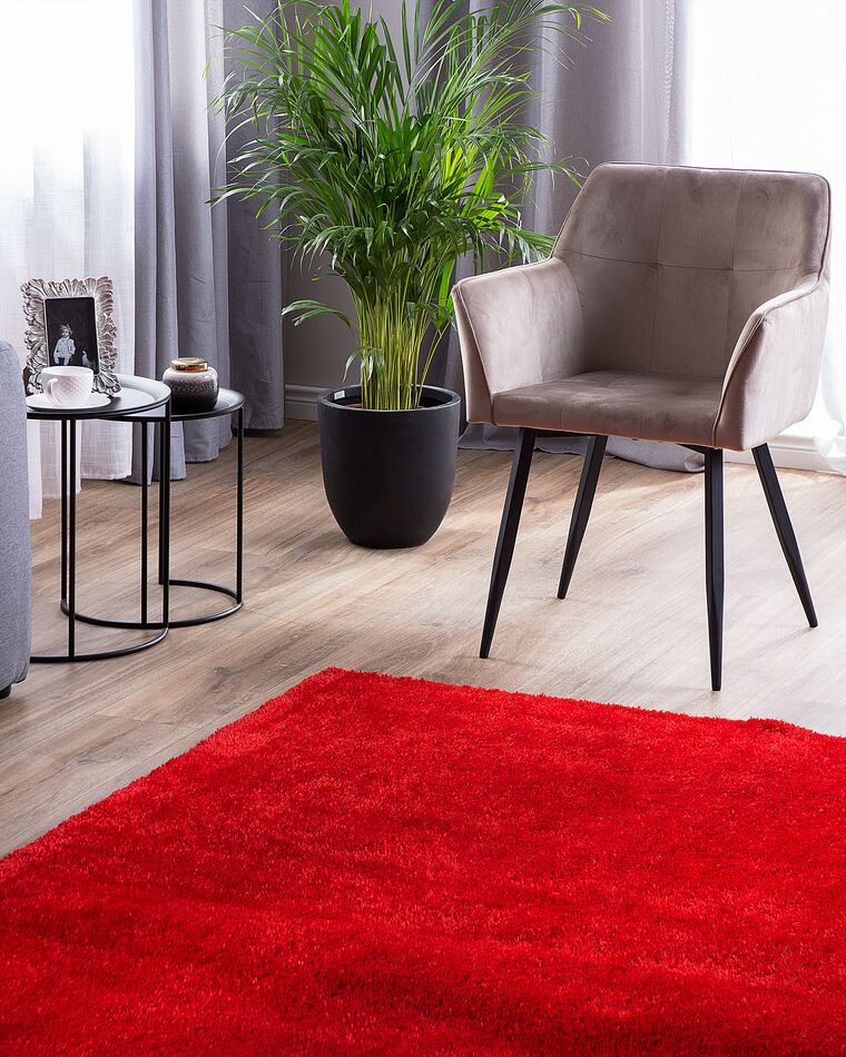 Shaggy Area Rug 160 x 230 cm Red DEMRE Beliani.co.uk