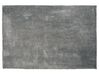 Tappeto shaggy grigio chiaro 160 x 230 cm EVREN_758712