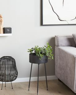 Kukkateline rauta musta 29 x 26 x 50 cm LEIKA