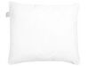 Set of 2 Microfibre Bed High Profile Pillow 80 x 80 cm ERRIGAL_898443