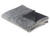 Coperta poliestere grigio chiaro 150 x 200 cm SARASWATI _842960