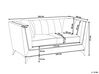2-Sitzer Sofa Samtstoff grau GAULA_706280