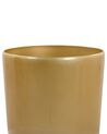 Vaso dourado ⌀ 32 cm TSERIA_772633