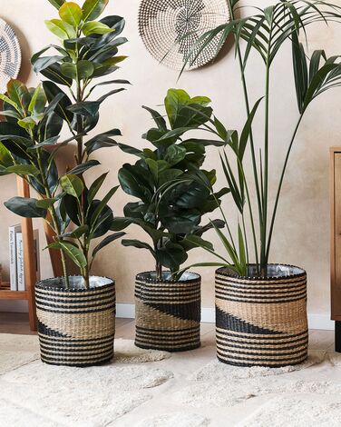Set of 3 Seagrass Plant Pot Baskets Natural and Black RATTAIL
