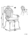 Conjunto de 2 cadeiras de jardim em alumínio castanho escuro LIZZANO_765552
