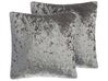Set of 2 Velvet Cushions 45 x 45 Grey HOSTA_771529