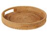 Set of 2 Rattan Decorative Trays Light ADELSO_894069