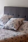 Fabric EU King Size Bed Dark Grey AMBASSADOR_861751