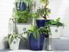 Conjunto de 2 vasos para plantas em fibra de argila azul marinho 46 x 46 x 40 cm KOKKINO_841548