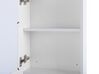 Bathroom Wall Mounted Mirror Cabinet with LED White 40 x 60 cm MALASPINA_785575