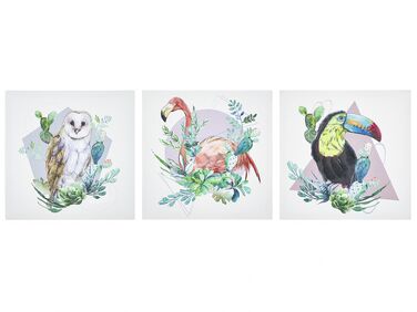 Zestaw 3 obrazów na płótnie zwierzęta 30 x 30 cm kolorowy MENAKA